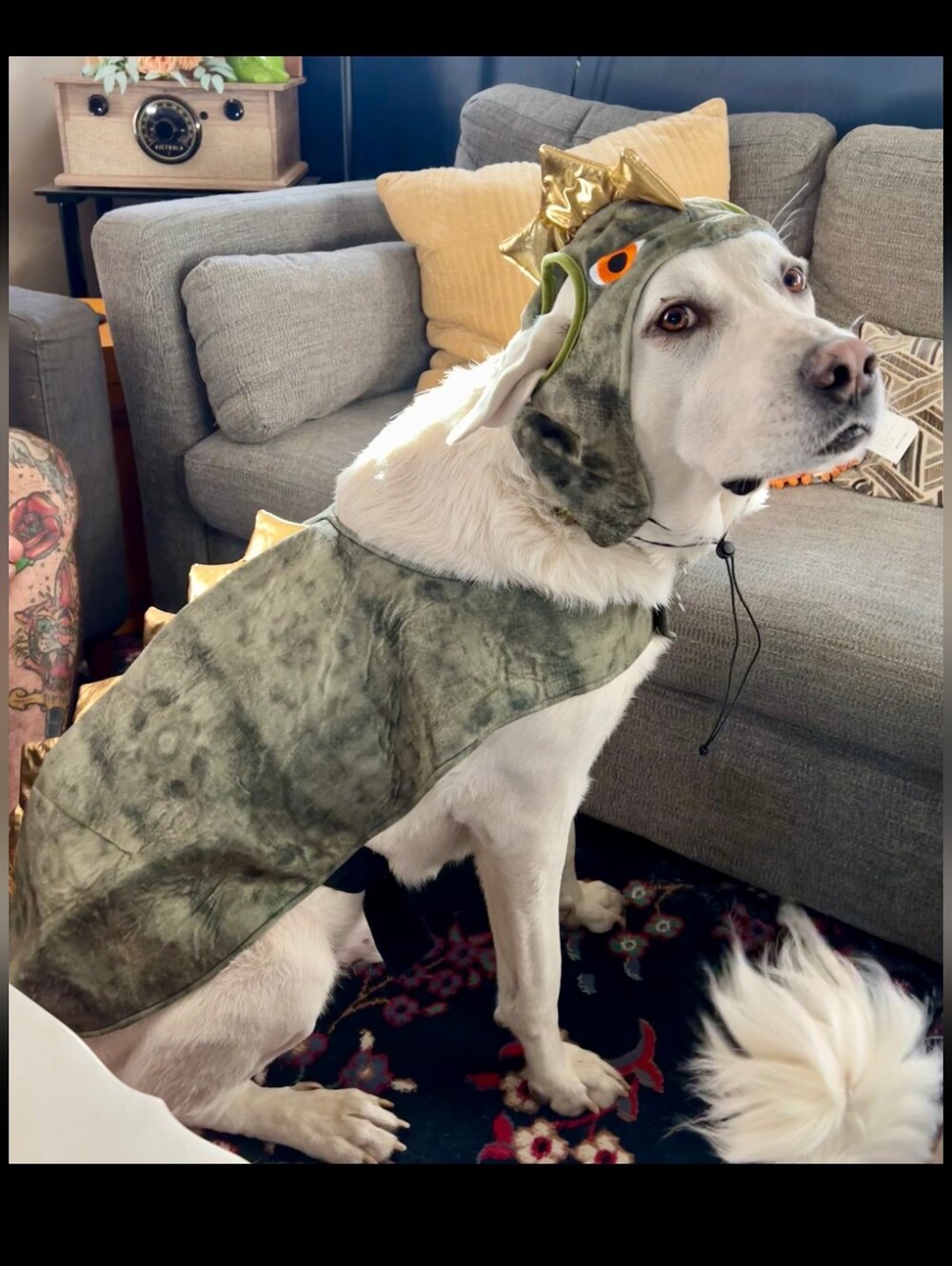 Dog Dinosaur Costume